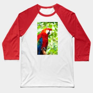 Scarlet Macaw Red Bird Perched in a Tree Baseball T-Shirt